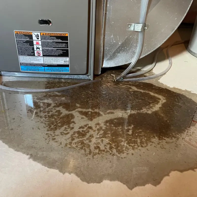 Appliance Leak Cleanup in Chouteau County, MT